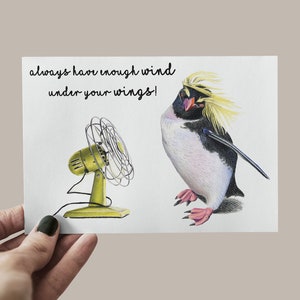 Carte postale pingouin vent, carte pingouin, carte félicitations pingouin, pingouin fan