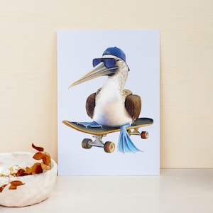 Postkarte Skateboard, Karte Blaufußtölpel Skateboard, Skater, post card blue footed booby, skateboarding, skating (leere Rückseite)