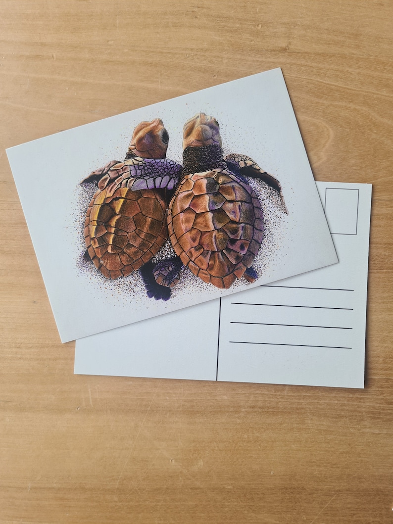Carte postale tortue, carte amitié, carte de voeux affection, carte câlin, tortue de mer, bébé tortue image 5