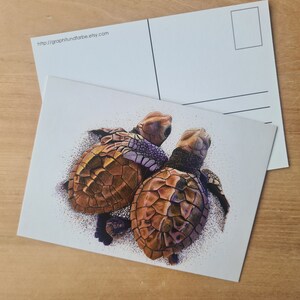 Carte postale tortue, carte amitié, carte de voeux affection, carte câlin, tortue de mer, bébé tortue image 4