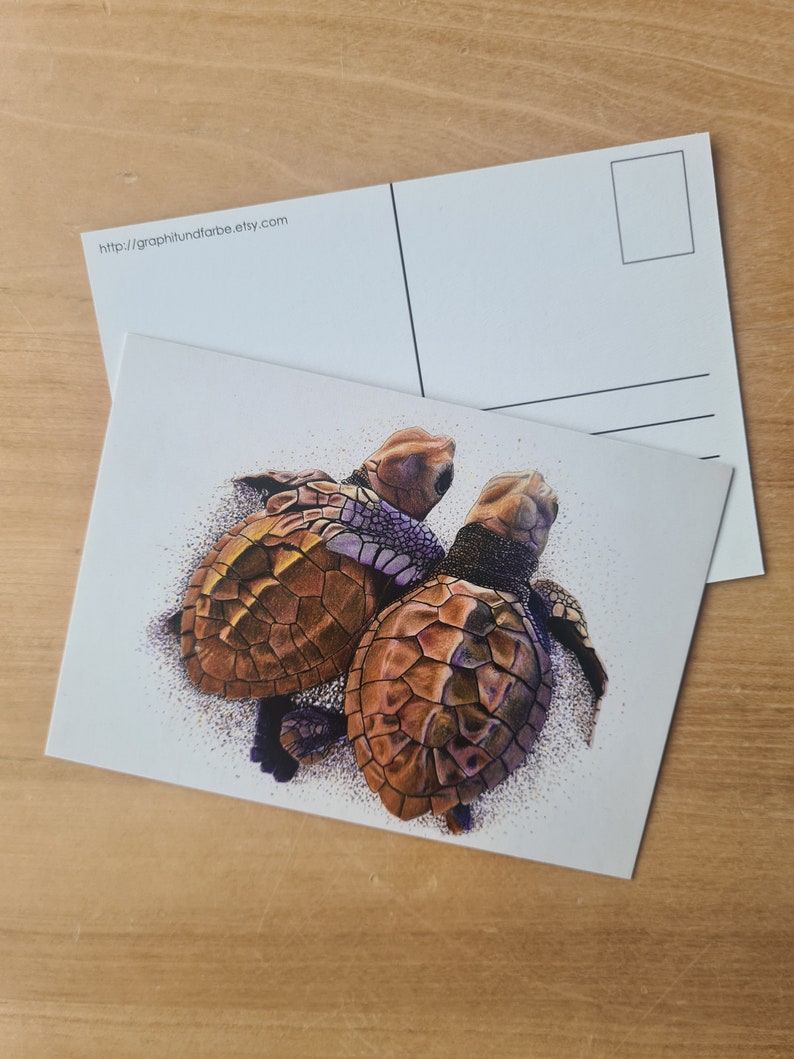 Carte postale tortue, carte amitié, carte de voeux affection, carte câlin, tortue de mer, bébé tortue image 4