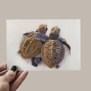 Postkarte Schildkröte, Karte Freundschaft, Grußkarte Zuneigung, Karte Umarmung, Meeresschildkröte, Baby Schildkröte