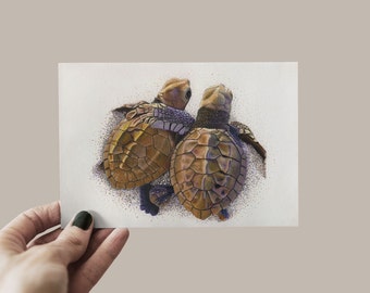Postkarte Schildkröte, Karte Freundschaft, Grußkarte Zuneigung, Karte Umarmung, Meeresschildkröte, Baby Schildkröte