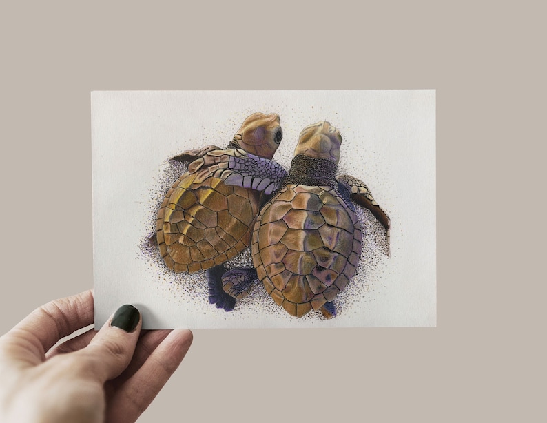Carte postale tortue, carte amitié, carte de voeux affection, carte câlin, tortue de mer, bébé tortue image 1