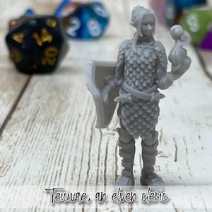 Teuivae, an elven cleric | Female | Elf | Cleric | Shield | Primed or Unprimed | Tabletop Miniatures | Dungeons and Dragons 5e