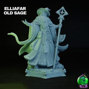 Elliafar Old Sage | Male | Sorcerer | Mage | Magic User | Primed or Unprimed | Tabletop Miniature | D&D Dungeons and Dragons 5e