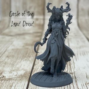 May include: A gray figurine of a female druid, holding a sickle and flowers, with a flowing gown and leafy headpiece. The base is textured to resemble a grassy area. Text on the left reads "Circle of the Land Druid."