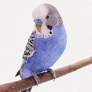 Custom Watercolor Pet Portrait | Personalized Pet Art & Unique Gift for Bird Lovers | Pet Memorial Decor |  pet portrait from photo