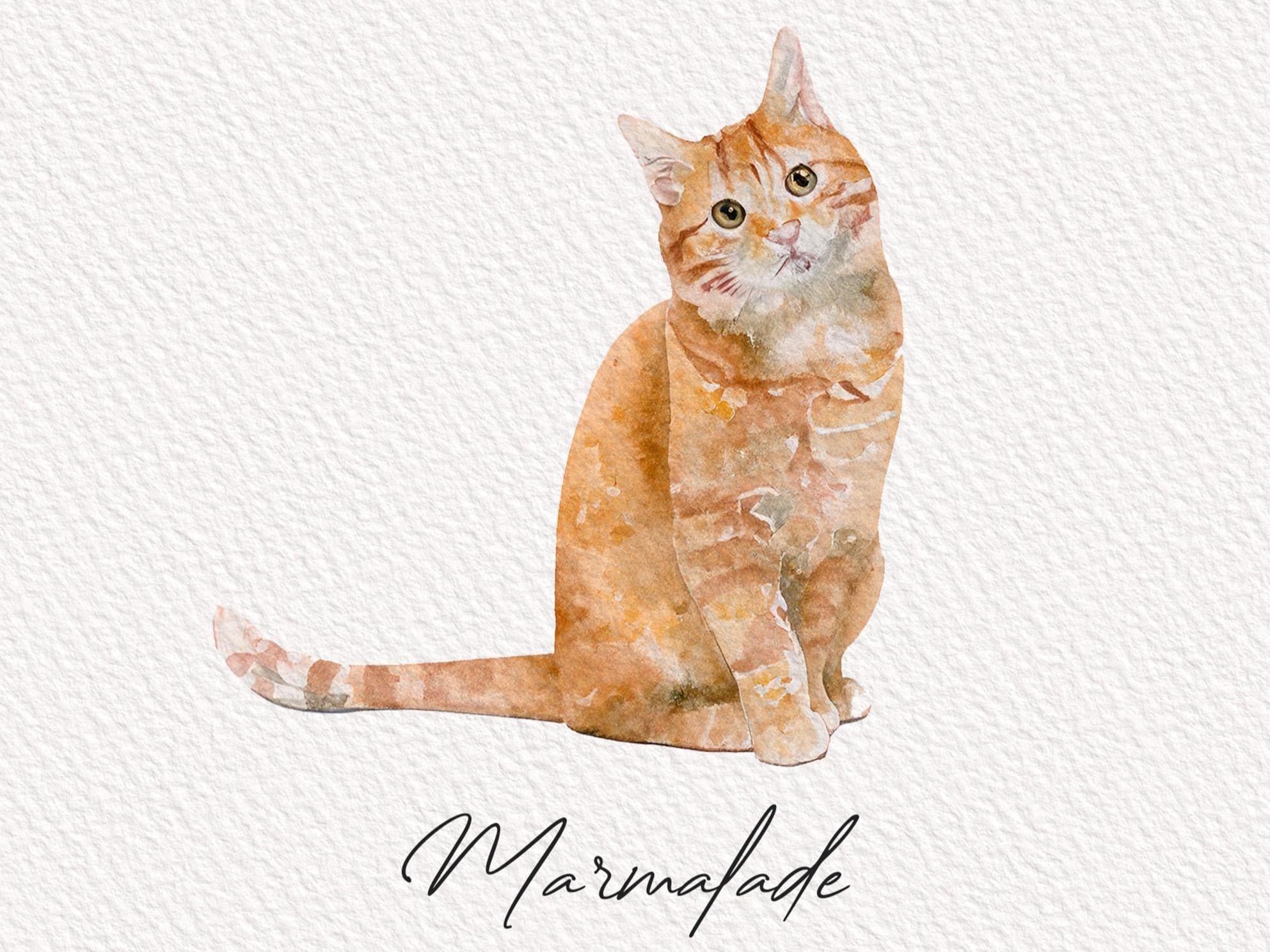 Custom Mini Watercolor Cat Portrait, Personalized Pet Art Cat Unique Gift for Cat Lovers, Pet Memorial Wall Decor Sketch from Photo Drawing