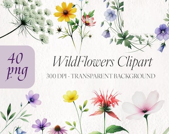 Clipart de flores silvestres en acuarela: 40 PNG florales (descarga digital)