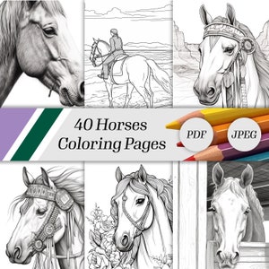 Horses coloring pages, 40 sheets instant download