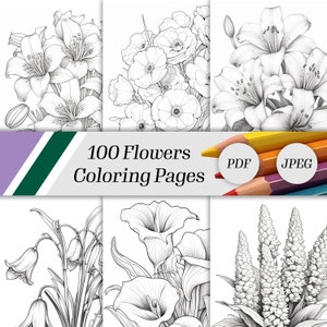 100 Elegant Flower Coloring Pages Adults And Kids Coloring Book, Greyscale, Digital Coloring Sheets, Instant Download, Printable PDF File