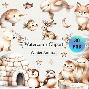 Könnte beinhalten: Aquarell-Clipart-Set mit 30 Wintertieren, darunter ein Narwal, ein Eisbär, ein Pinguin, ein Papageitaucher, ein Fuchs, ein Kaninchen, eine Robbe, ein Walross, ein Iglu und ein Fisch. Die Tiere sind in einem weichen Aquarellstil mit braunen, weißen und blauen Farben gemalt.