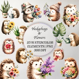Pacote de clipart de ouriço fofo: 25 PNGs de alta resolução, clipart de aquarela de animais, download instantâneo, uso comercial, decoração de berçário e artesanato DIY