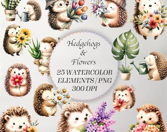 Watercolor Hedgehog Clipart Bundle: Nursery Decor PNGs (Commercial Use)