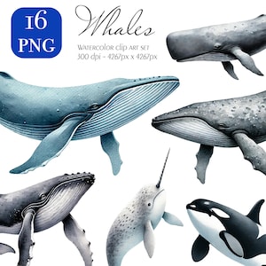 Zestaw akwarelowych clipartów wielorybów - orka, narwal, garbogrzbiet, bieługa, wieloryb szary PNG | Sztuka morska oceanu | Wydrukuj cyfrowe pobieranie życia morskiego