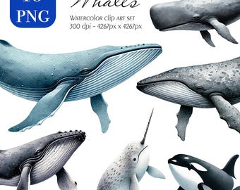 Paquete de imágenes prediseñadas de ballenas en acuarela: PNG marino oceánico (descarga digital)