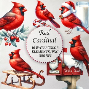 Clipart Cardinal rouge de Noël, 16 oiseaux aquarelle PNG, graphiques de vacances pour cartes et travaux manuels, souvenir PNG, téléchargement numérique, commercial