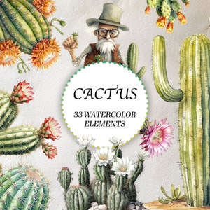 Aquarelle Cactus Clip Art - 33 Desert Cactus Clipart Bundle - Aquarelle Succulent Graphics Cactus PNG - Desert Cacti - Téléchargement instantané