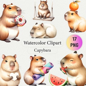 Zabawna kolekcja akwarelowych klipartów Kapibara - urocze ilustracje Kapibara PNG - pobieranie cyfrowe w wysokiej rozdzielczości do rzemiosła i projektów