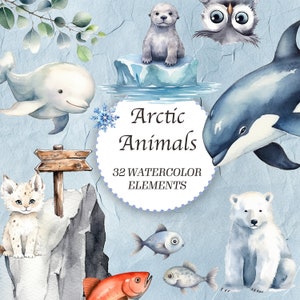 Watercolor Arctic Animals Clipart Bundle Sublimation Designs for Baby Shower Transparent PNG Nursery Clipart Commercial Use Instant Download