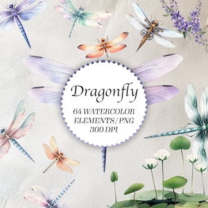 Dragonfly Watercolor Clipart Bundle - Watercolor Dragonfly Illustration with Transparent Background - Card Making Invitation PNG - Set of 64
