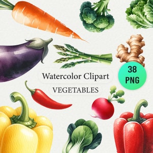 Clipart aquarelle de légumes, lot de 40 PNG, légumes bio art numérique, usage Commercial