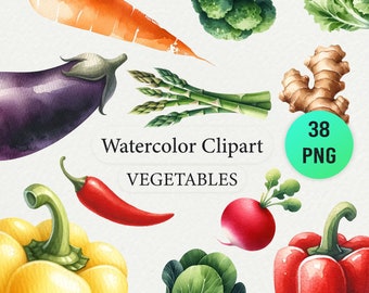 Imágenes prediseñadas de verduras de acuarela, paquete de 40 PNG, arte digital de verduras orgánicas, uso comercial
