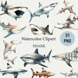 31 PNGs de clipart de tubarão aquarela - tema oceano, tubarão branco, baleia, tubarões tigre para scrapbooking, convites, decoração DIY, fundo do mar