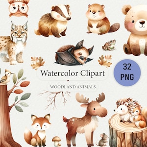 Charmante aquarel bosdieren clipart-high-res PNG, bosdierenillustraties voor kinderkamer decor, uitnodigingen, ambachten-32 PNGs