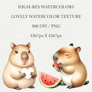 May include: Two watercolor illustrations of capybaras. One capybara is holding a white heart and the other is eating a slice of watermelon. Both capybaras are smiling.