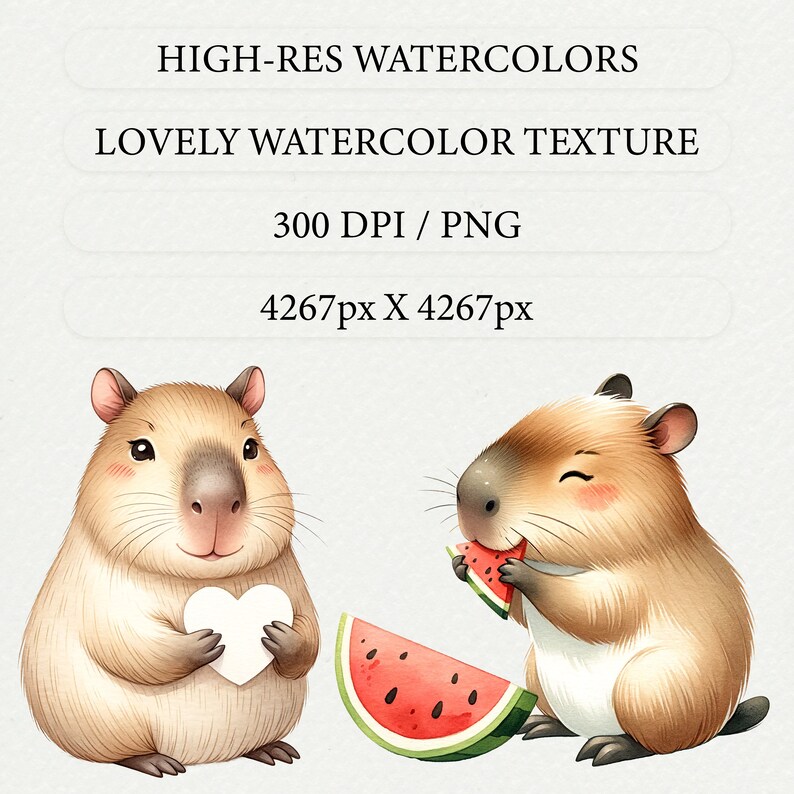 May include: Two watercolor illustrations of capybaras. One capybara is holding a white heart and the other is eating a slice of watermelon. Both capybaras are smiling.
