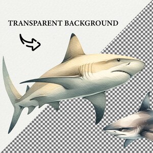 May include: A watercolor illustration of two sharks, one large and one small, swimming in the ocean. The larger shark is light brown with a white belly, while the smaller shark is gray with a white belly. Both sharks have sharp teeth and fins.