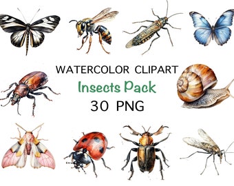 Watercolor Insect Clipart: 30 PNG Bug Illustrations (Digital Download)