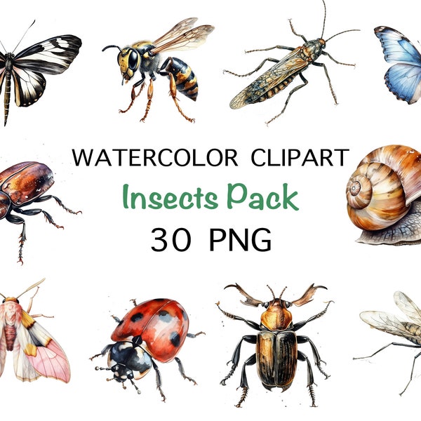 Watercolor Bugs Clipart - Watercolor insects spider butterfly clipart - spring clipart - animal clipart - nature clipart - instant download