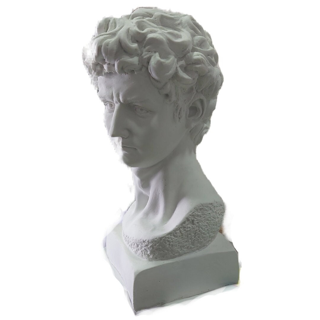 Statue of David Bust Etsy