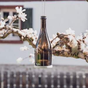 Hanging lantern made from a champagne bottle in olive - a different gift - funny, valuable, sustainable