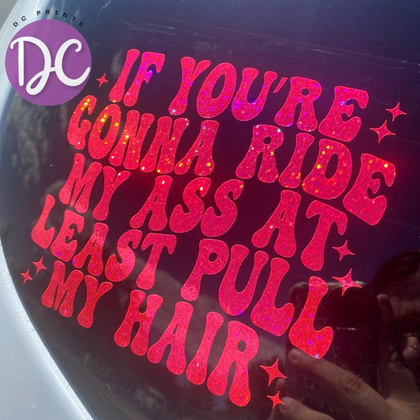 If You're Gonna Ride My Ass At Least Pull My Hair Car Decal, Car Window Decal, Vinyl Decal Sticker, Car Accessories, Car Decor