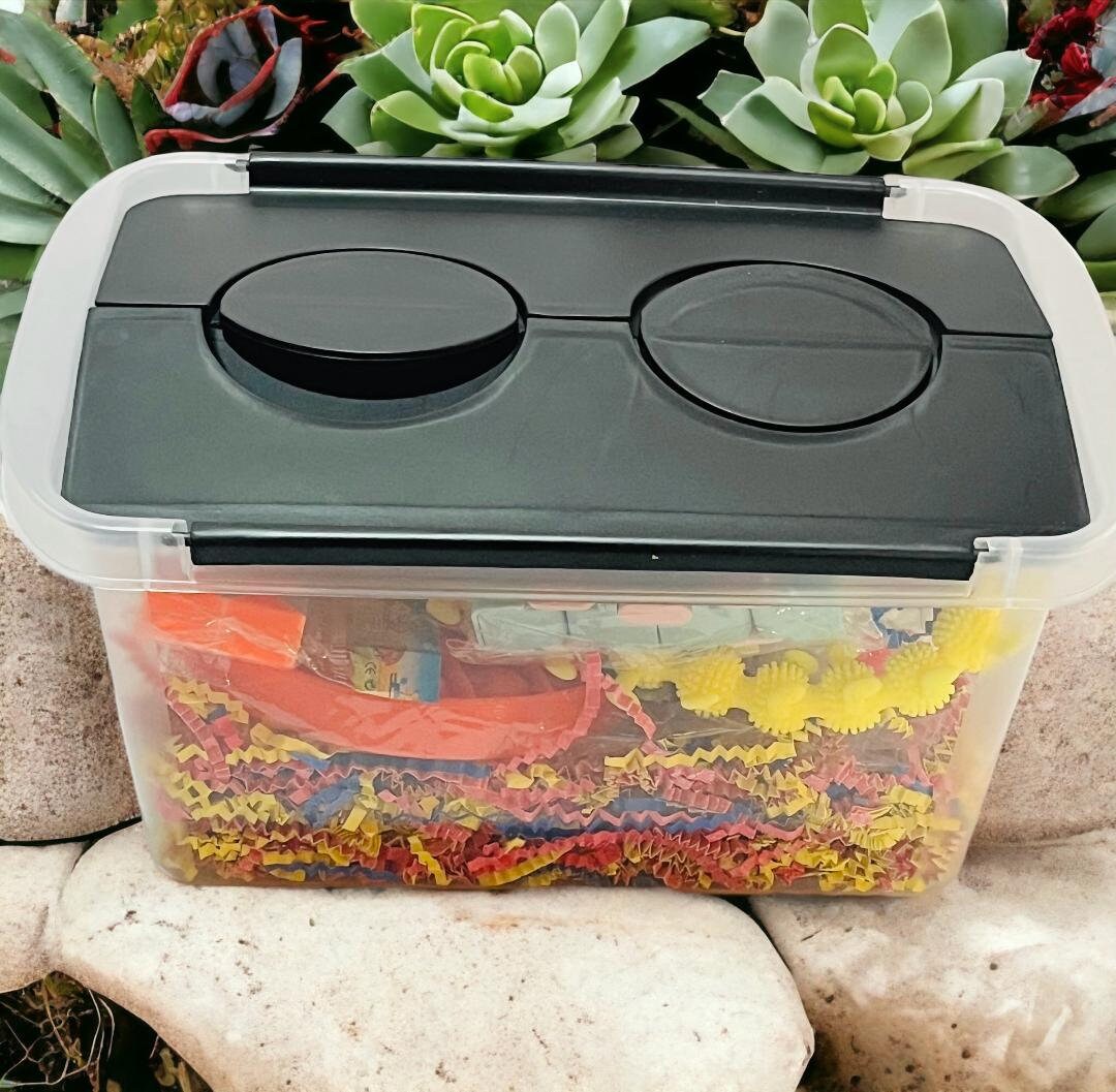 Sensory Bins, Fidget Toys, Fidgets, Fidget Box, Sensory Box, Sensory