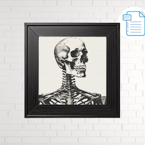 May include: A black and white cross-stitch pattern of a human skeleton with a skull facing to the right. The skeleton is framed in a black frame.