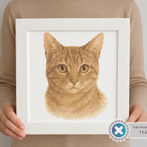 May include: A framed cross-stitch portrait of a ginger cat. The cat's face is centered, with detailed stitching capturing its fur, eyes, and nose. The artwork is in a white frame, held by a person. The image includes a "Pattern Keeper TESTED" badge.