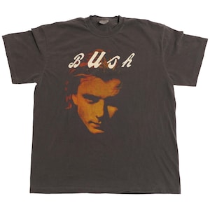 bush ヴィンテージ　Tシャツ　90s 90's BUSCH GARDENS スーベニアTシャツ 