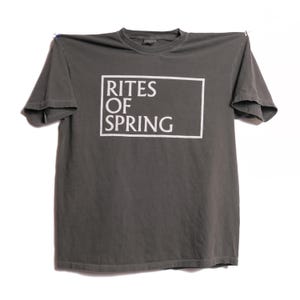 Camiseta de banda punk Rites of Spring, de algodón pesado, con un estilo ultra desgastado, estilo post punk, alternativo, de ruido y grunge. Talla XL.