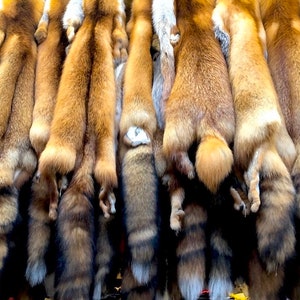 Wild Red Fox Fur Pelts