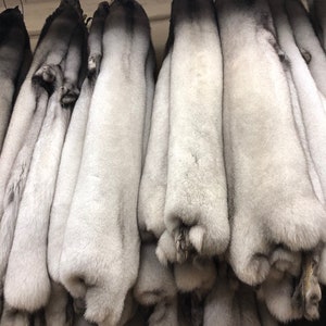 Natural Blue Fox Fur Pelts