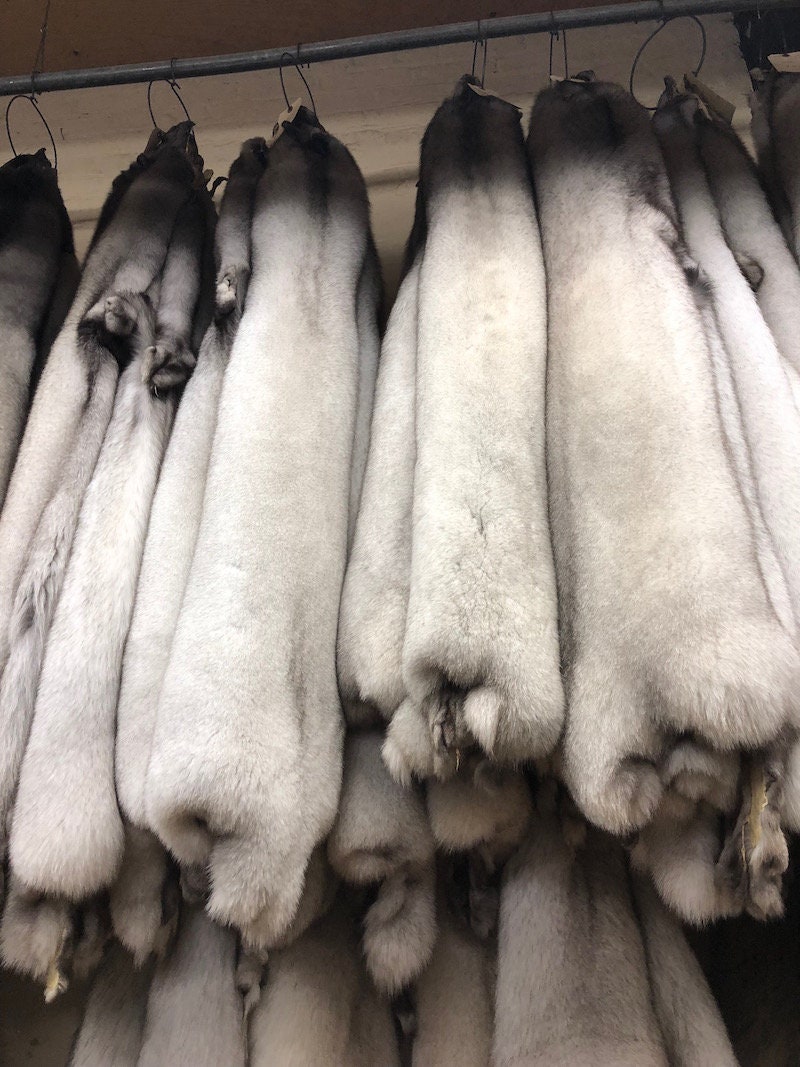 Natural Blue Fox Fur Pelts