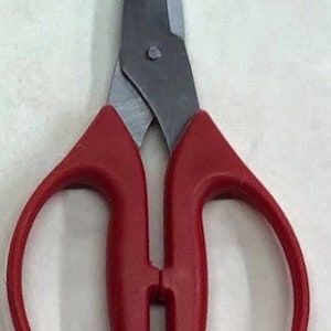 May include: Scissors with red handles and silver blades. The blades are closed.