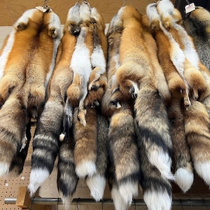 Ranch Red Fox Fur Pelts