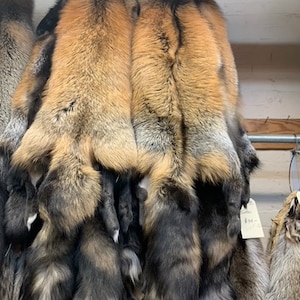 Red Cross Fox Fur Pelts