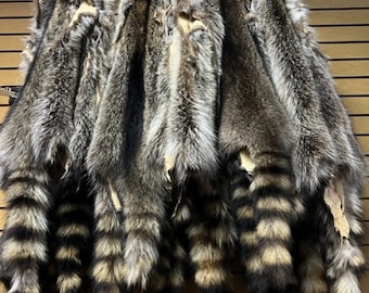 Raccon Fur Pelts